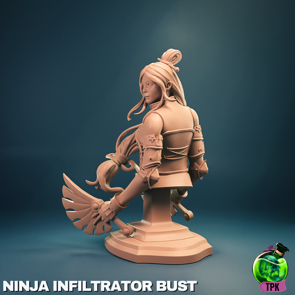 Ninja Infiltrator Bust - TPK Lab