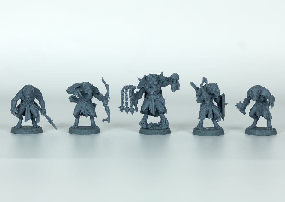 Gnolls Premium Miniature Box