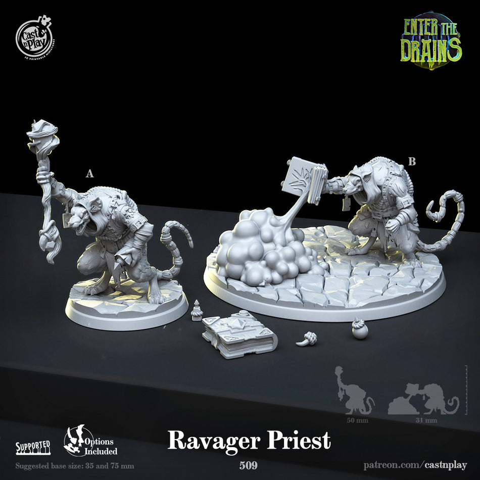 Ravager Priest - Enter the Drains - Cast n Play