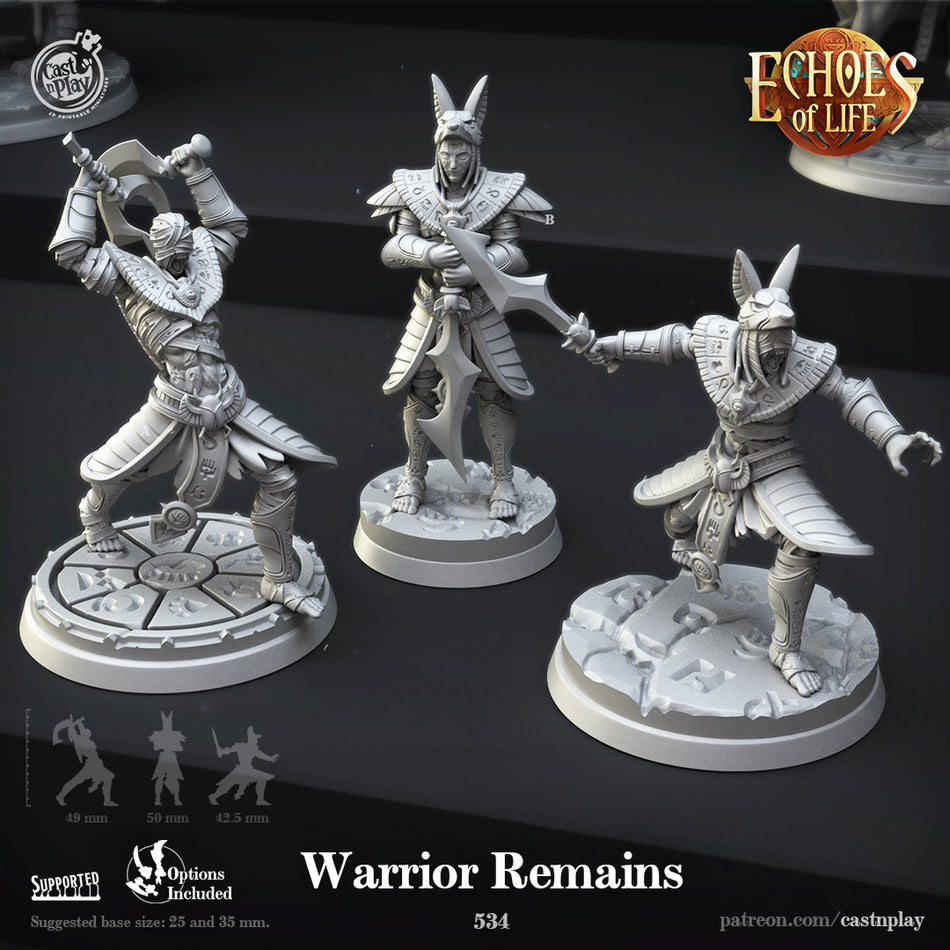 Warrior Remains - Echoes of Life - Cast n Play