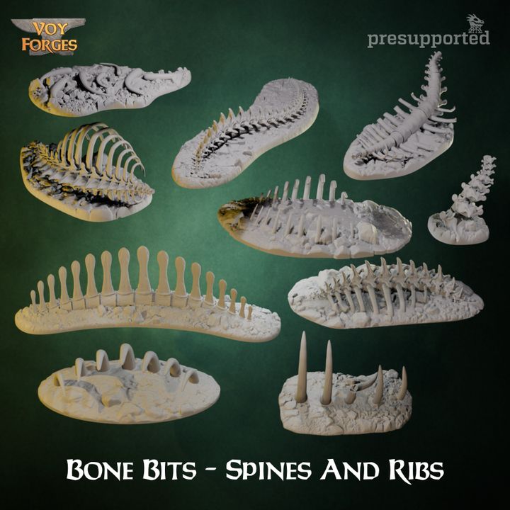 Bone Bits - Spines And Ribs For Basing - Basing Bits - Voy Forges