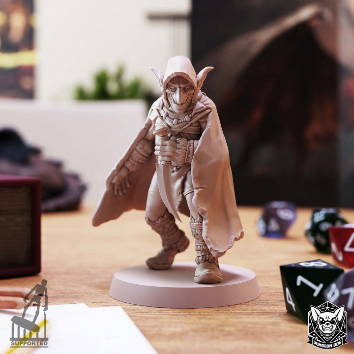 Goblin Assassine - Dungeon Dog