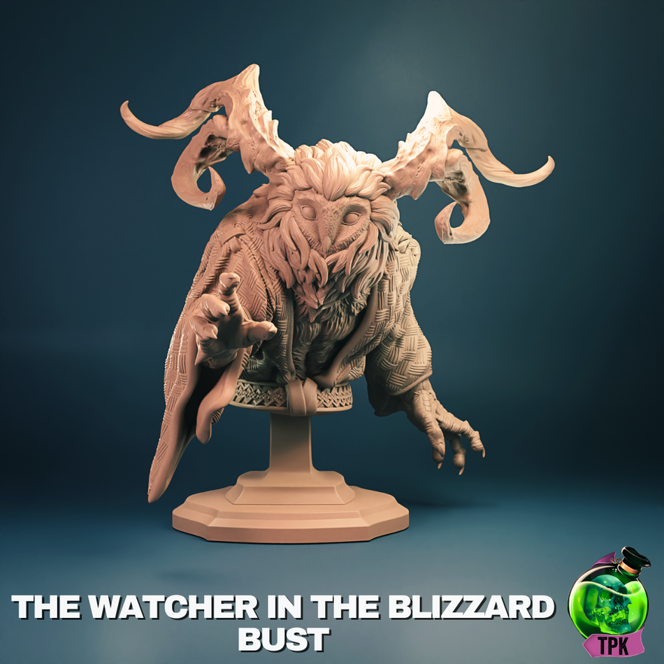 The Watcher in the Blizzard Bust - TPK Lab