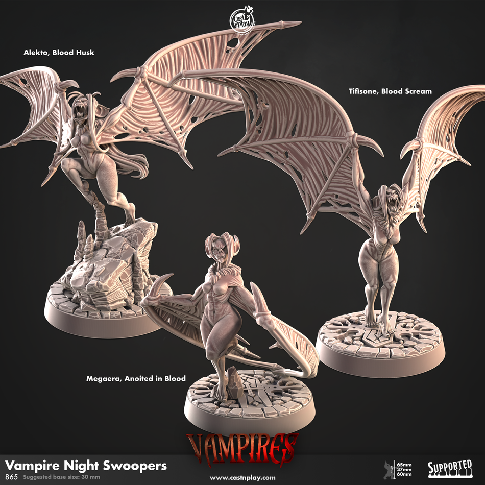 Vampire Night Swoopers - Vampire - Cast n Play