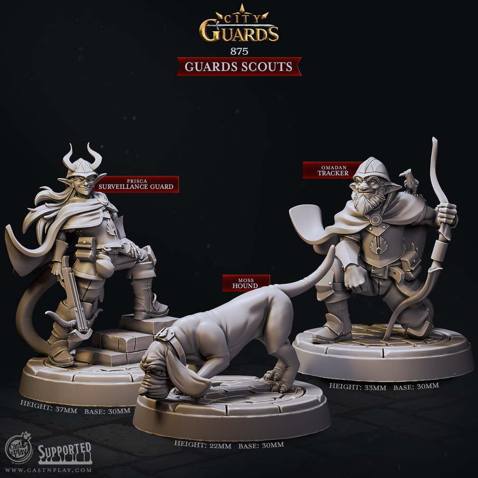 Guards Scouts - City Guards - Cast n Play