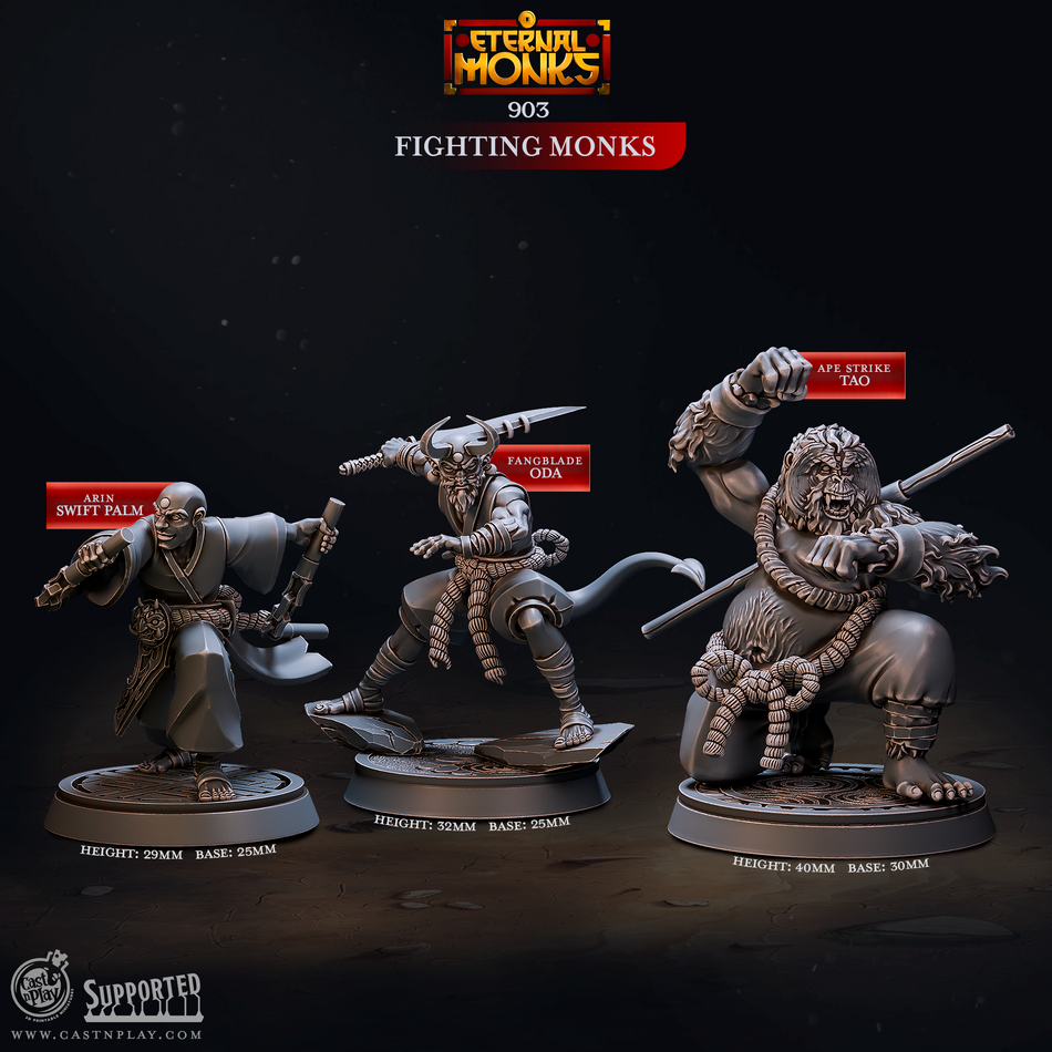 Fighting Monks - Eternal Monks - Cast n Play