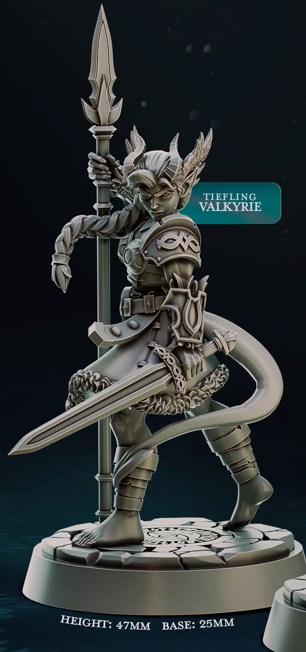 Barbarian Valkyrie - Northwind Vikings - Cast n Play