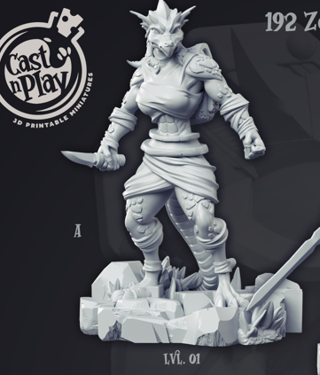 Zorseth the Fighter - Heroes Collections 1 - Cast n Play