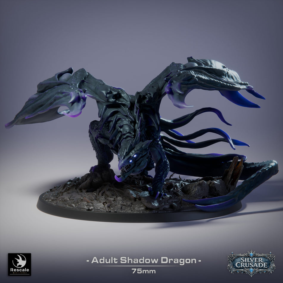 Adult Shadow Dragon- Silver Crusade - Rescale Miniatures