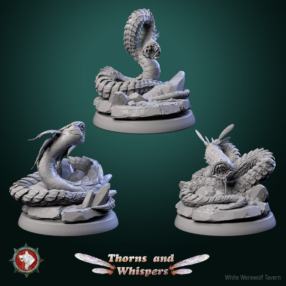 Blooming Coilspawn - aus der Reihe Thorns and Whispers von White Werewolf Tavern