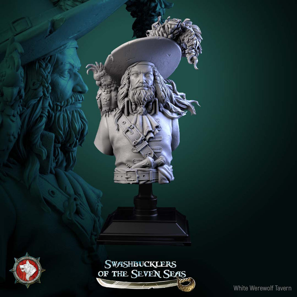 Captain Aurelius Drake Bust - Swashbucklers of the Seven Seas - WWT