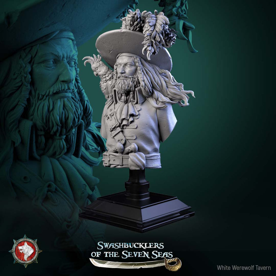 Captain Aurelius Drake Bust - Swashbucklers of the Seven Seas - WWT