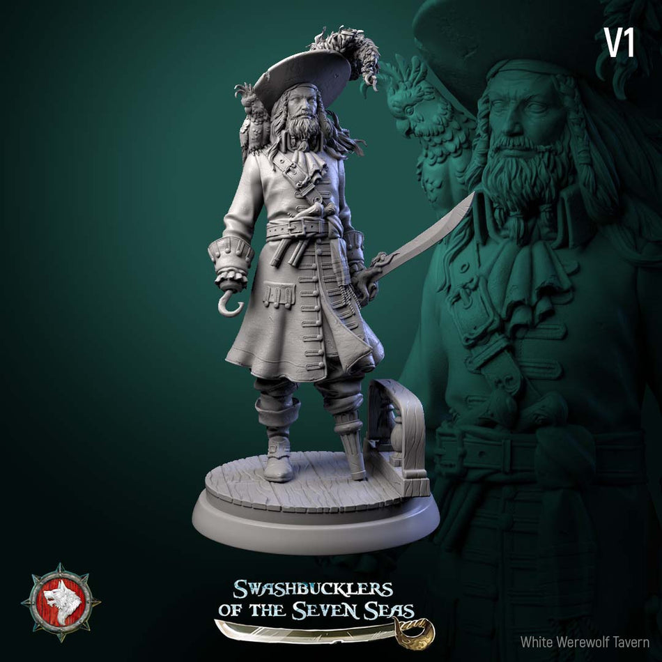 Captain Aurelius Drake - Swashbucklers of the Seven Seas - WWT