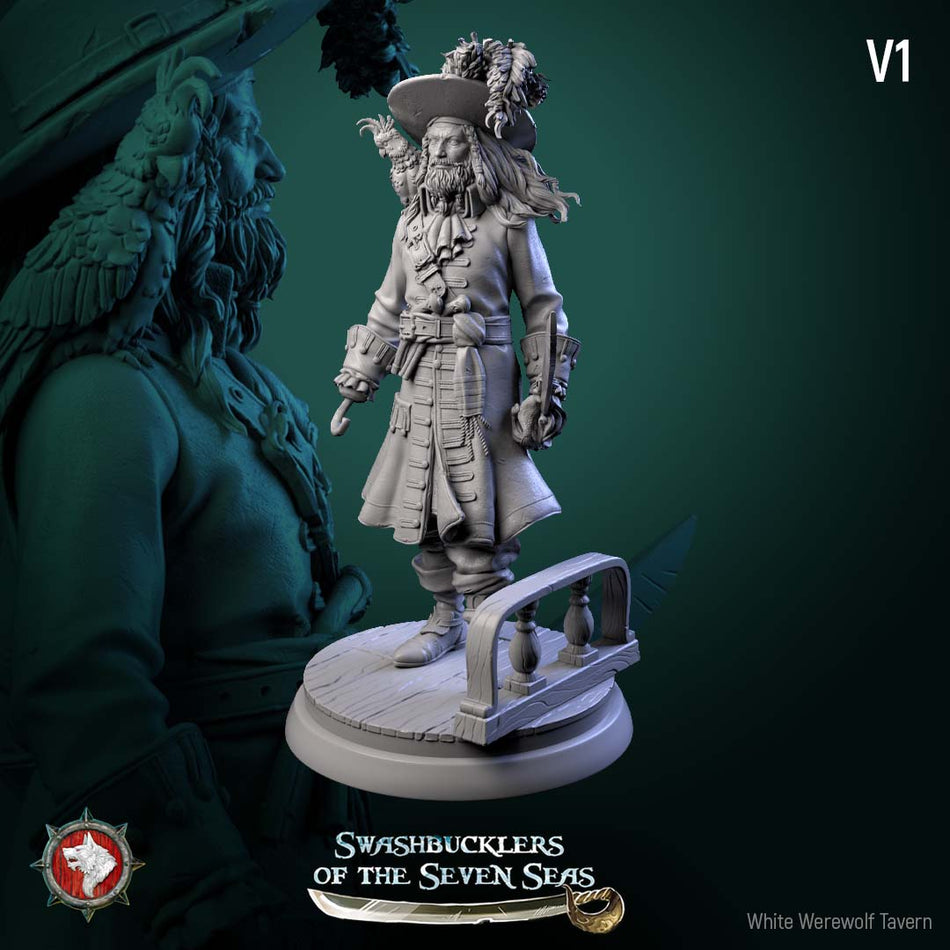 Captain Aurelius Drake - Swashbucklers of the Seven Seas - WWT