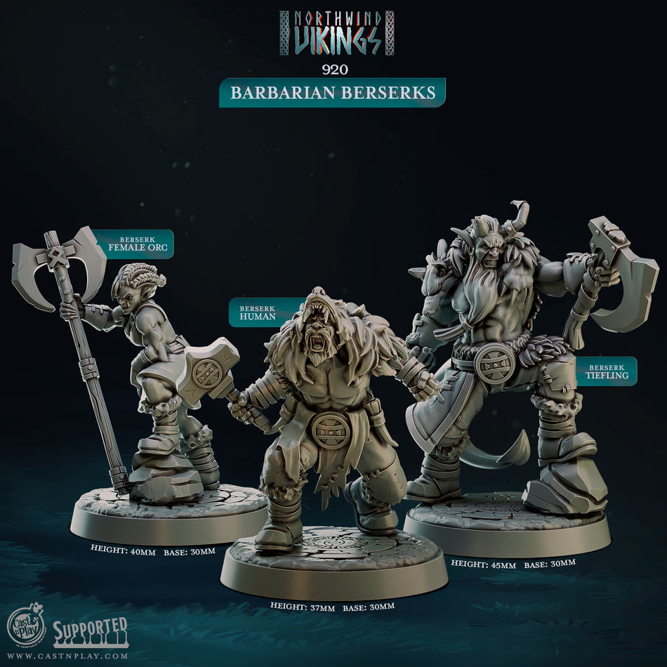 Barbarian Berserks - Northwind Vikings - Cast n Play