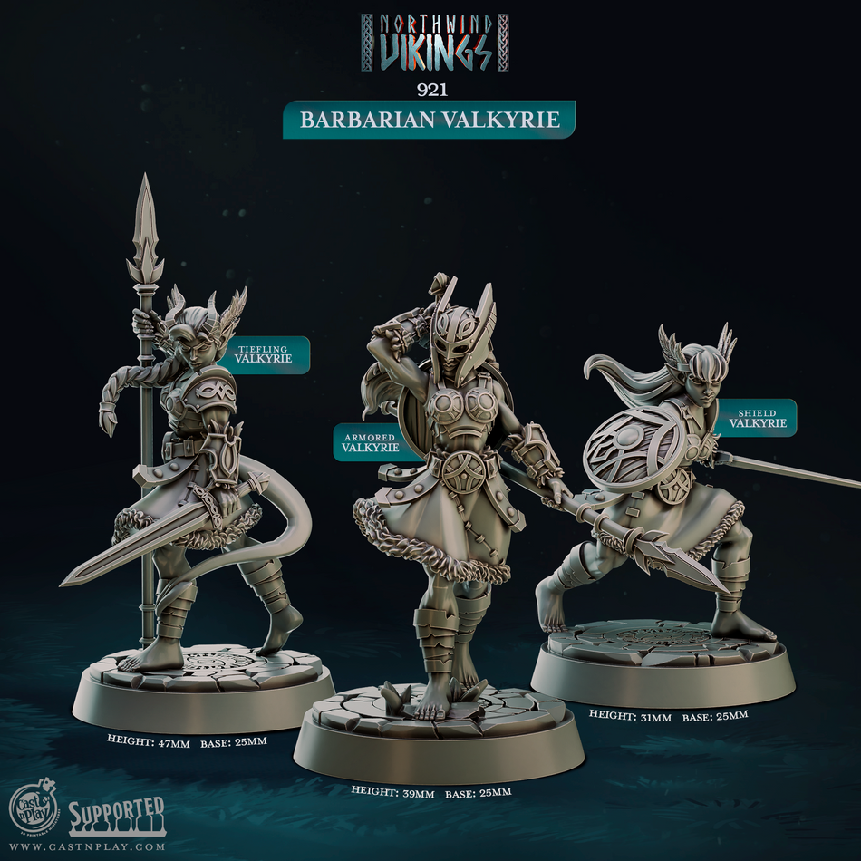 Barbarian Valkyrie - Northwind Vikings - Cast n Play