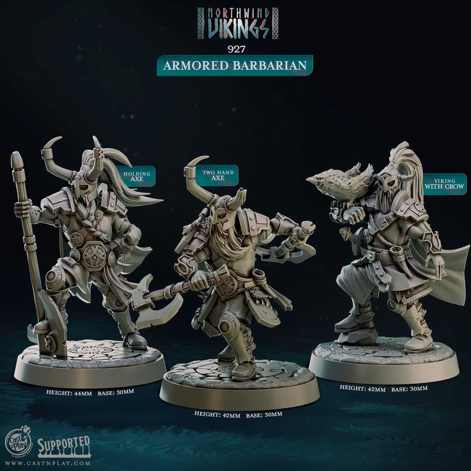 Armored Barbarian - Northwind Vikings - Cast n Play