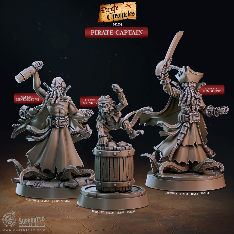 Pirate Captain - Pirate Chronicles - Cast n Play