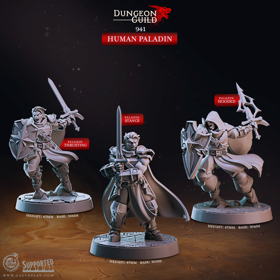 Human Paladin - Dungeon Guild - Cast n Play