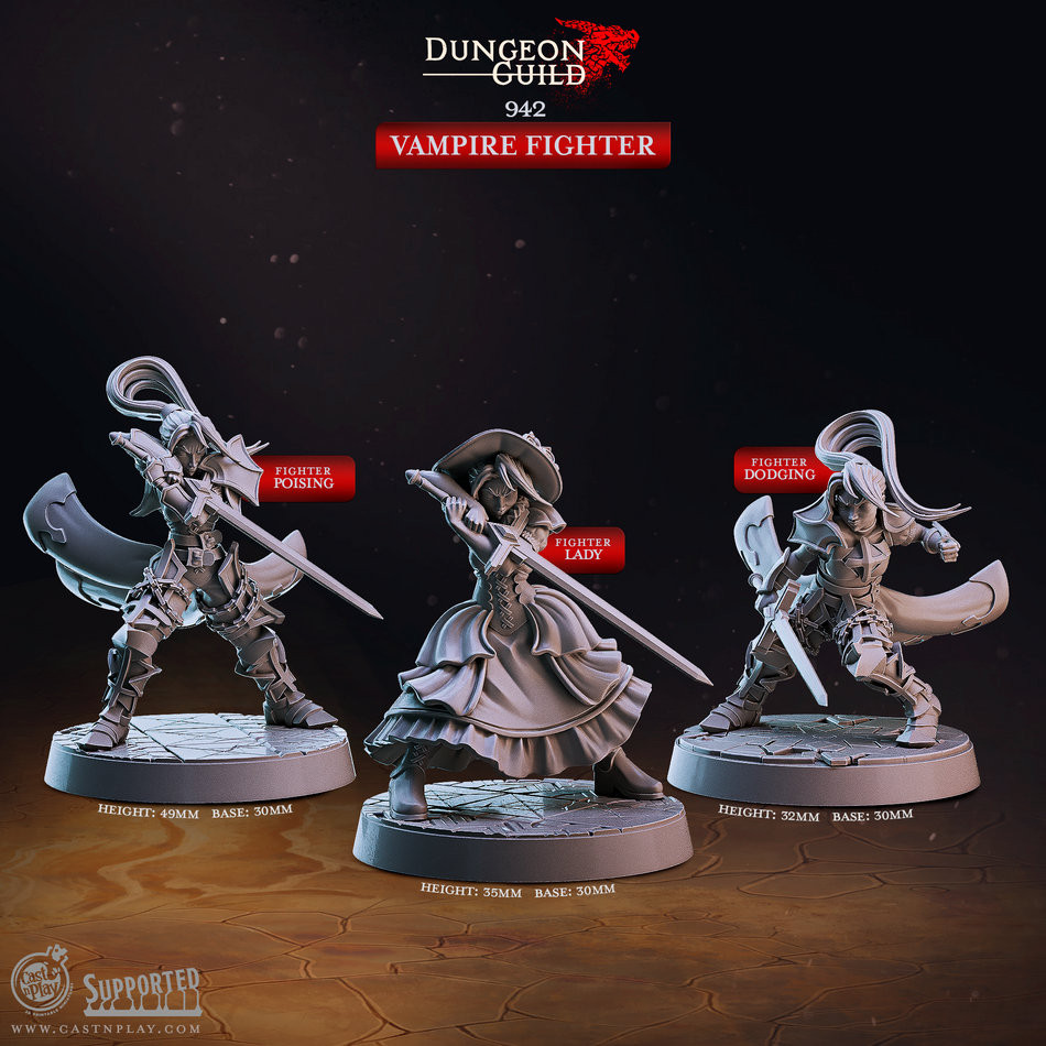 Vampire Fighter - Dungeon Guild - Cast n Play