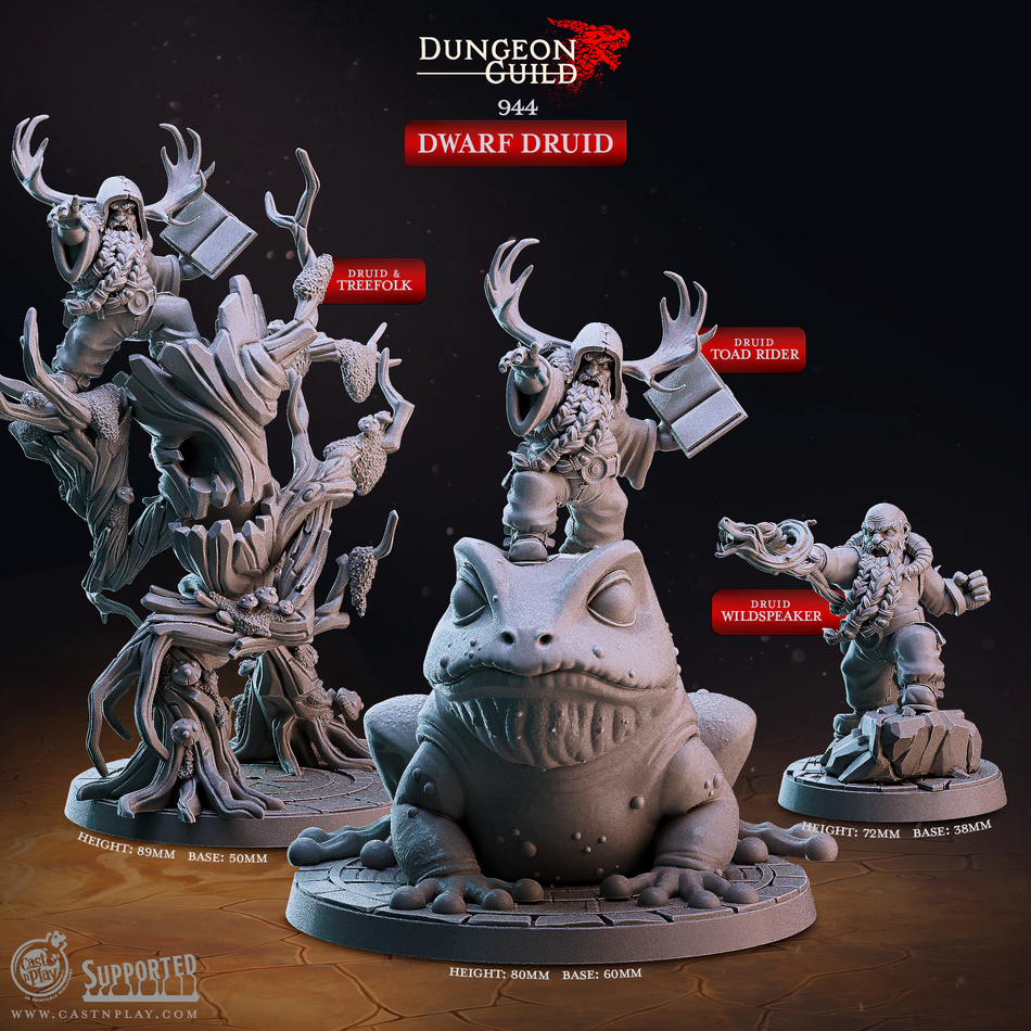 Dwarf Druid - Dungeon Guild - Cast n Play