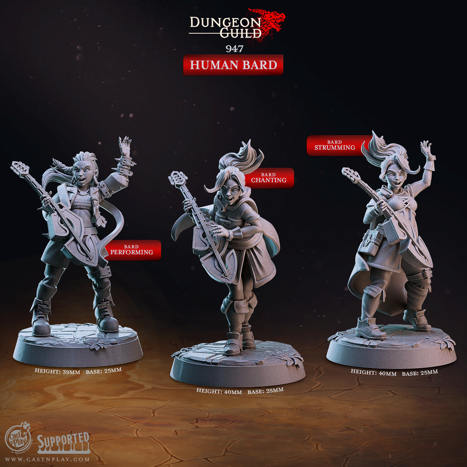 Human Bard - Dungeon Guild - Cast n Play