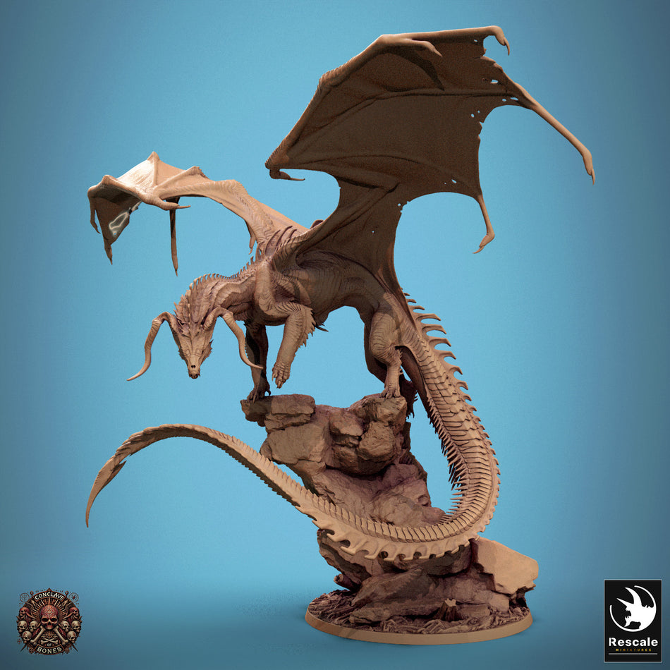 Black Dragon - Conclave of Bones - Rescale Miniatures