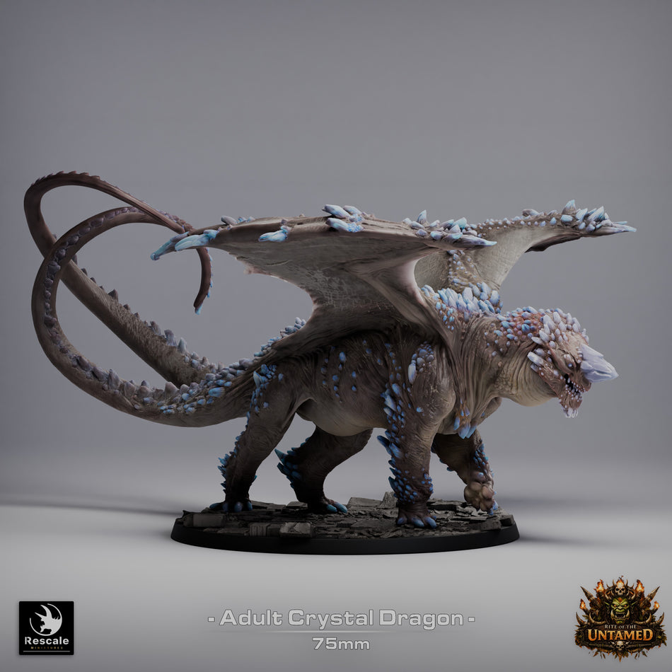 Crystal Dragon - Rite of the Untamed - Rescale Miniatures