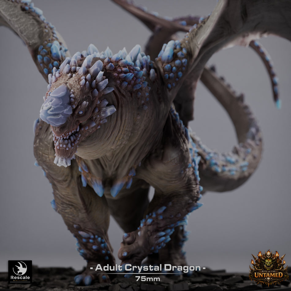 Crystal Dragon - Rite of the Untamed - Rescale Miniatures