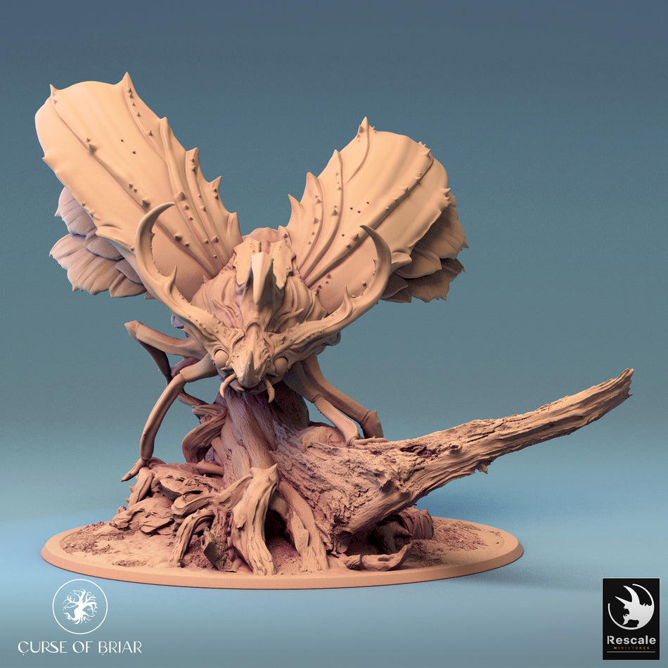 Royal Fae - Curse of Briar - Rescale Miniatures