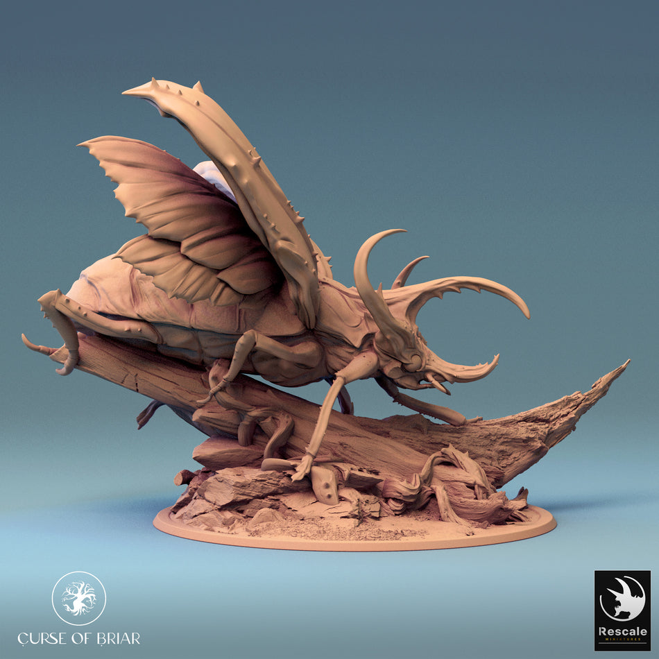 Royal Fae - Curse of Briar - Rescale Miniatures