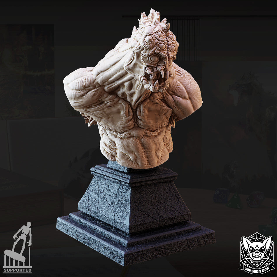 Ettercap Bust - Dungeon Dog