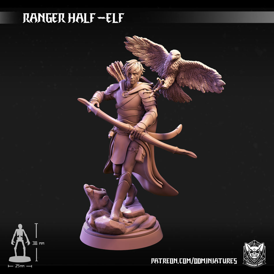Half Elf Ranger - Dungeon Dog
