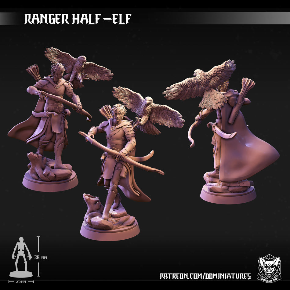 Half Elf Ranger - Dungeon Dog