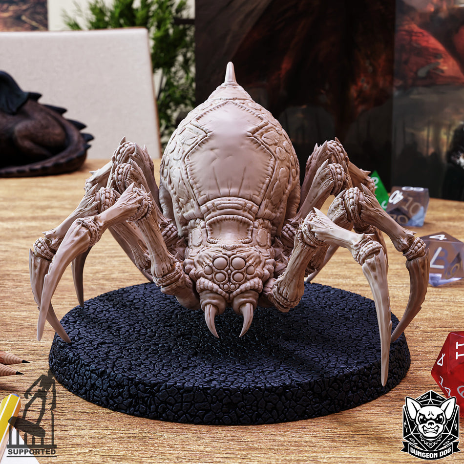 Giant Underdark Spider - Dungeon Dog