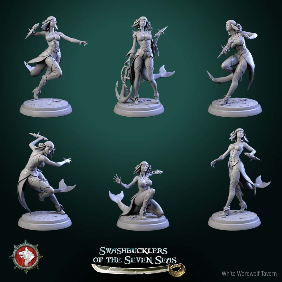 Delphinid Raiders - Swashbucklers of the Seven Seas - WWT