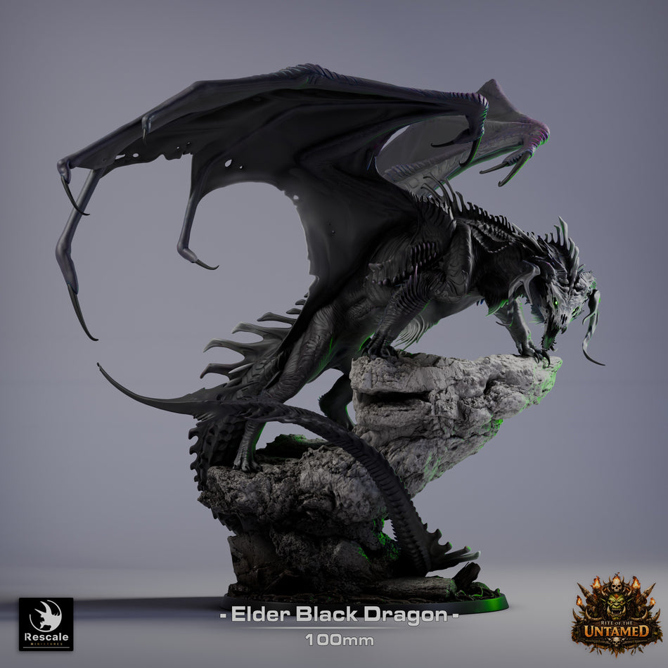 Black Dragon Elder - Rite of the Untamed - Rescale Miniatures