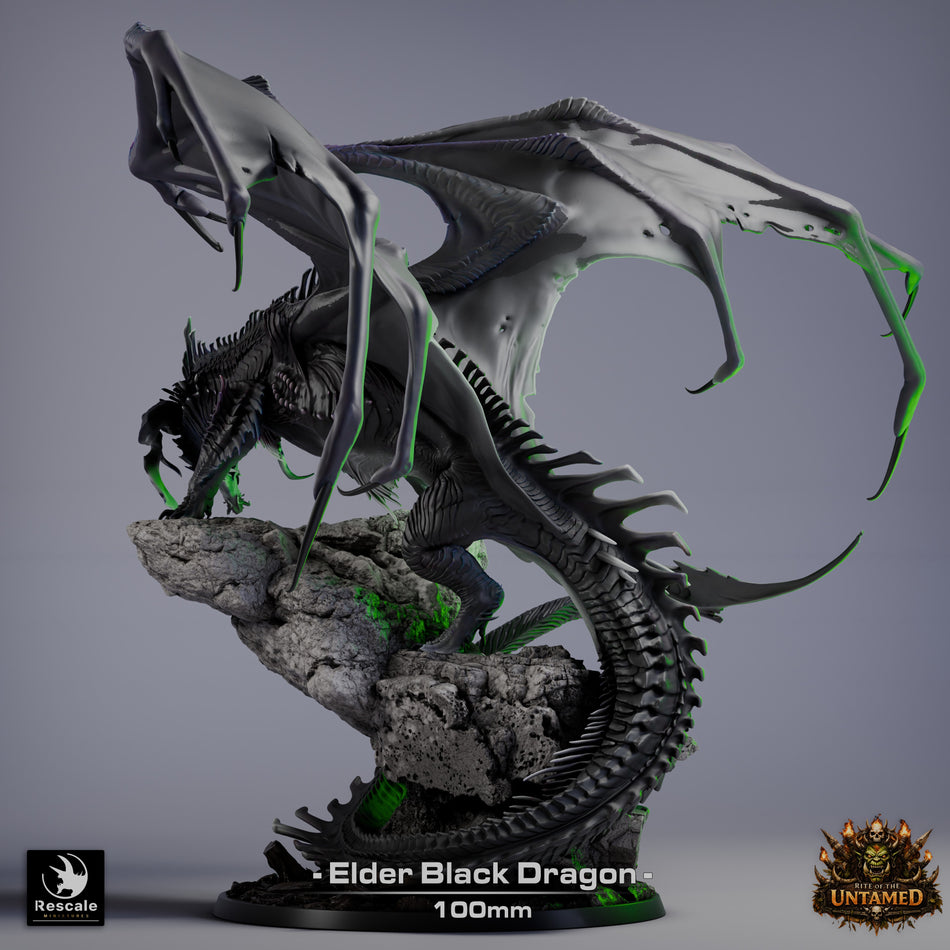 Black Dragon Elder - Rite of the Untamed - Rescale Miniatures