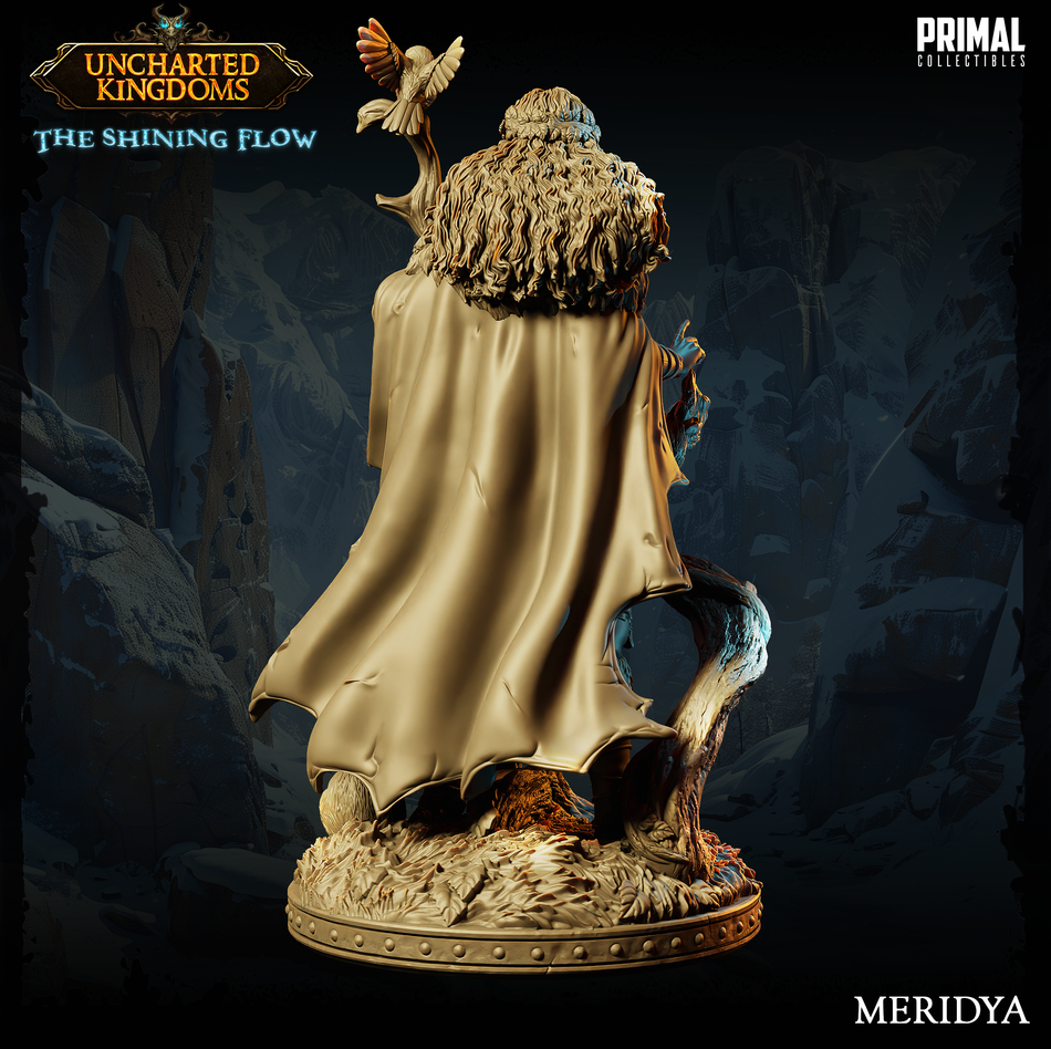 Meridya - Uncharted Kingdoms/ The Shining Flow - Primal Collectibles