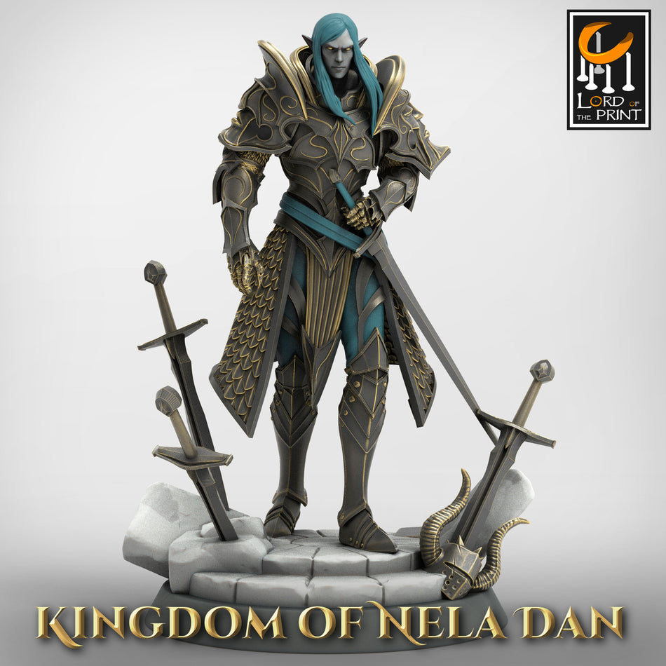 Lord Velir - Kingdom of Nela Dan - Rescale Miniatures
