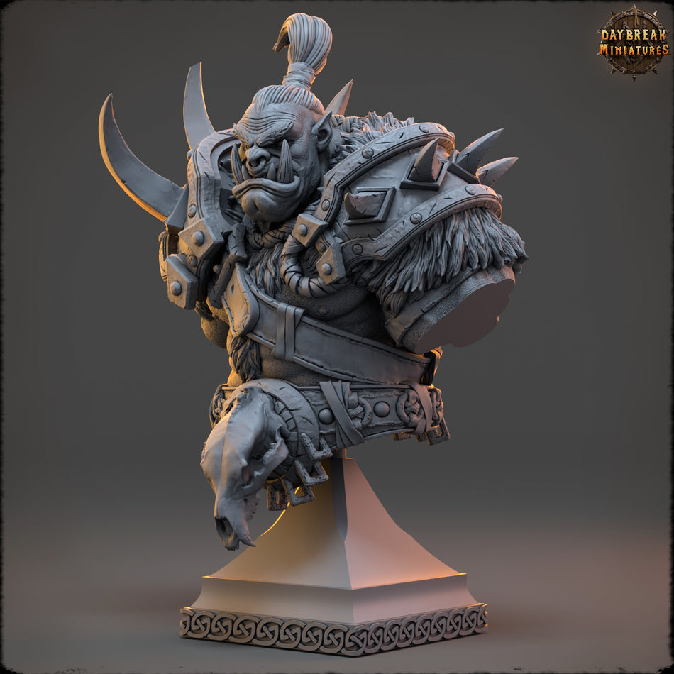 Medhren Iceslice Bust - Daybreak Miniatures