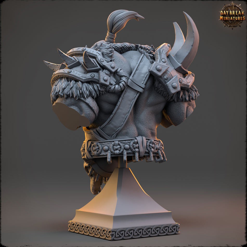 Medhren Iceslice Bust - Daybreak Miniatures