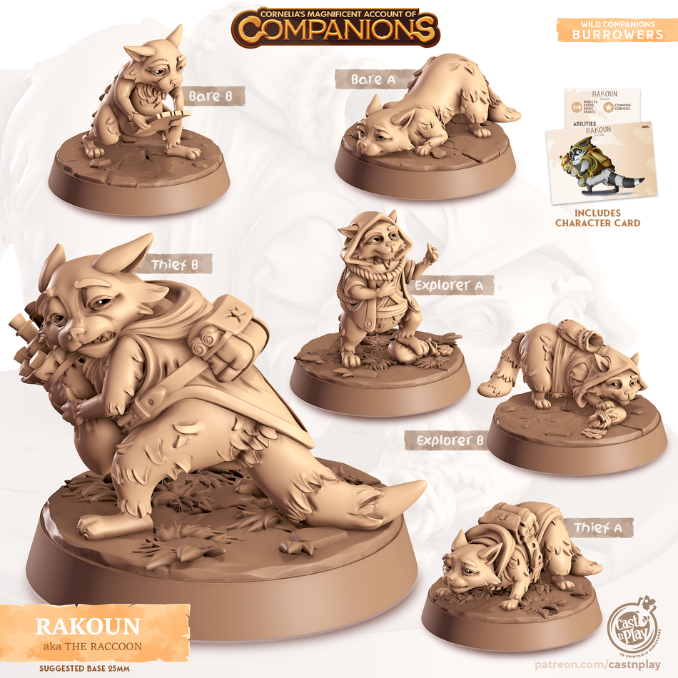 Raccoon - Burrowers - Rakoun - Animal Companions by Cornelia - Cast n Play