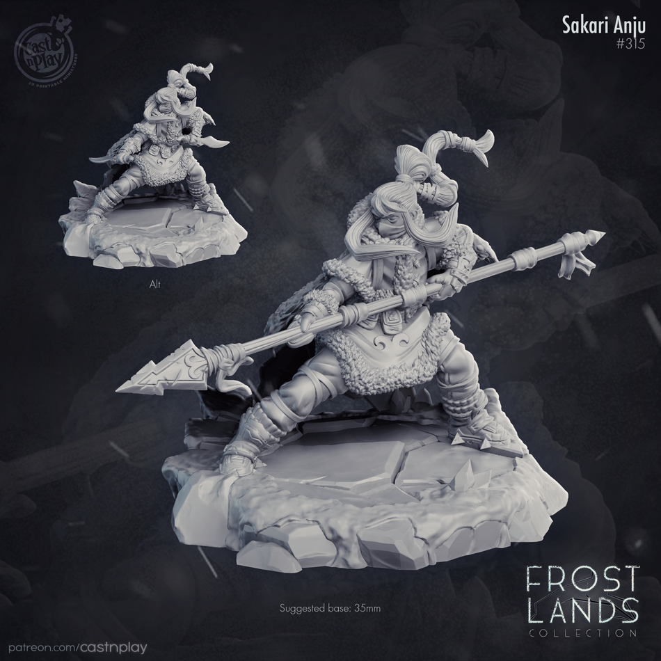Sakari Anju - Frost Lands - Cast n Play