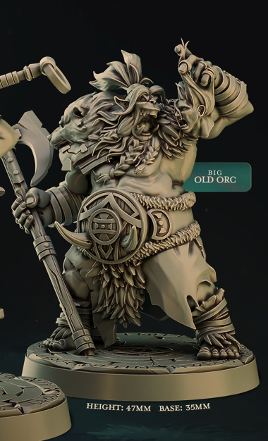 Heavy Vikings - Northwind Vikings - Cast n Play