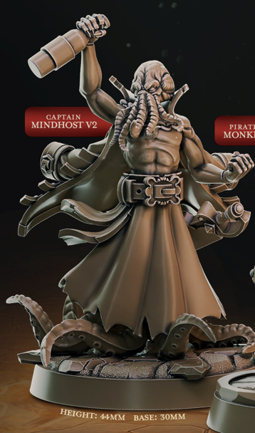 Pirate Captain - Pirate Chronicles - Cast n Play