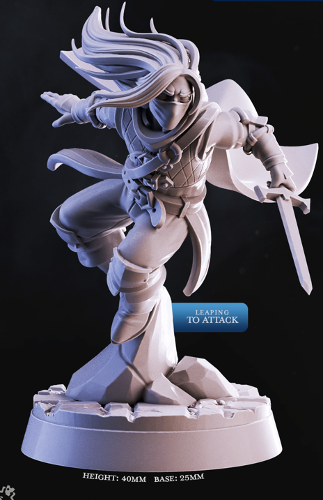 Caped Rogues - Nightdagger Rogues - Cast n Play