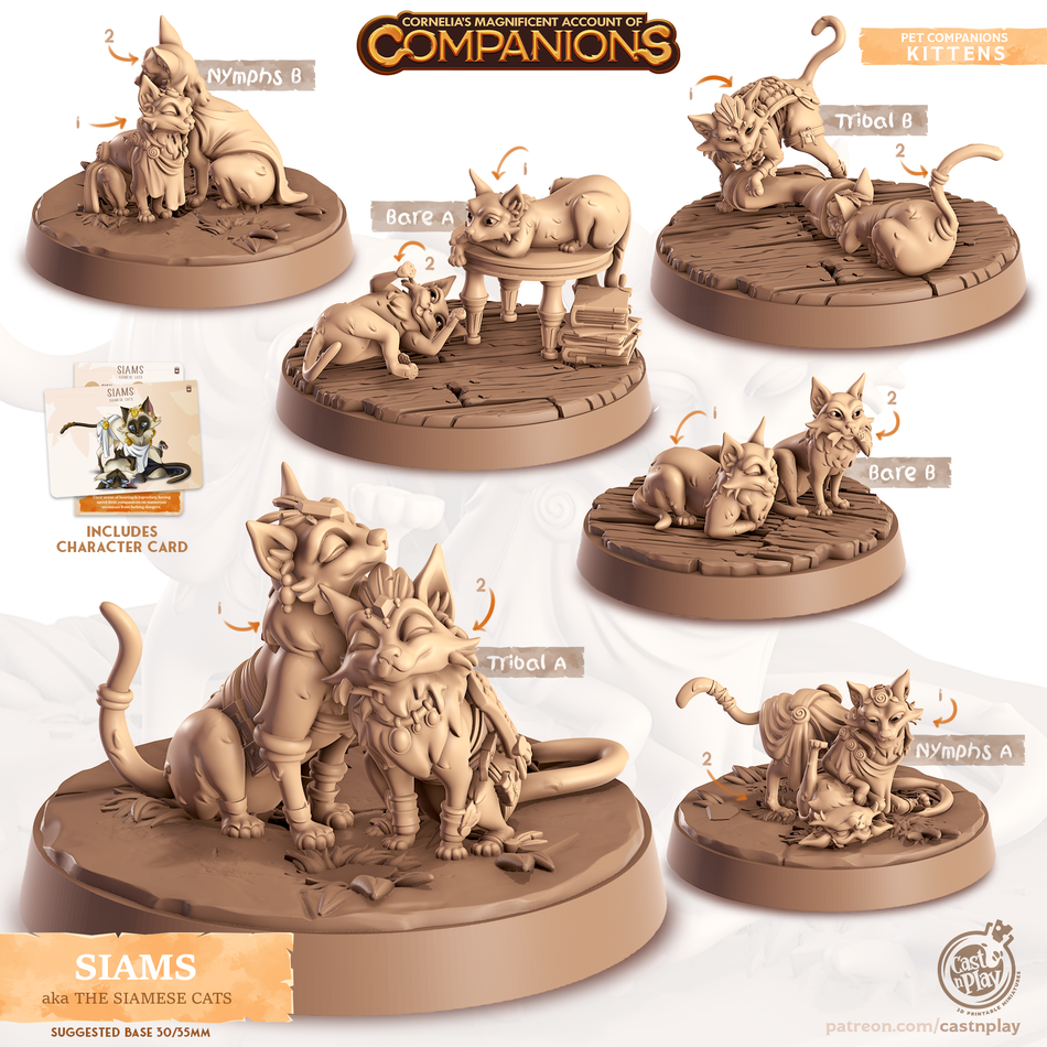 Siamese Cats - Cats - Siams - Animal Companions by Cornelia - Cast n Play