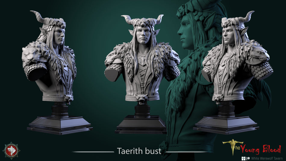 Taerith - Bust aus der Reihe The Young Blood von White Werewolf Tavern