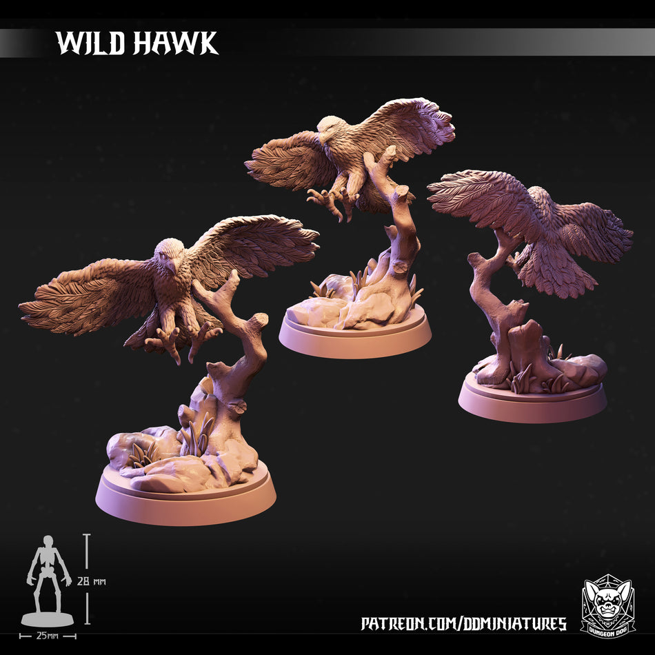 Wild Hawk - Dungeon Dog